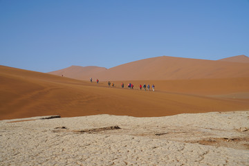 Fototapeta na wymiar Sossusvlei dunes at Dead Vlei