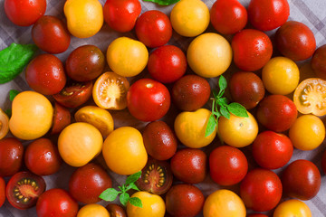 Yellow black kumato and red cherry tomatoes on the table