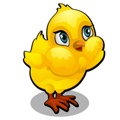 Cute yellow cartoon chick isolated on a white background. Vector cartoon close-up illustration.