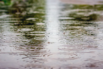Road with puddles of water during rain and display trees . Rain drops rippling in a puddle _