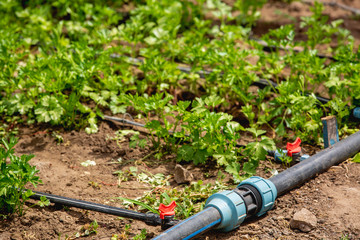 Drip irrigation systems, faucet, tube, coupling, to the farmer's garden