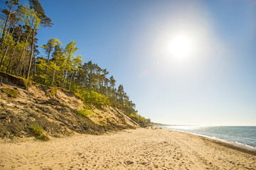 Baltic Sea in Poland with pines and dunes