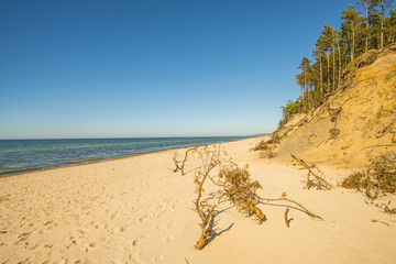 Baltic Sea in Poland with pines and dunes