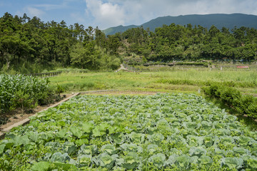 Fototapeta premium Beautiful landscape around Zhuzihu area