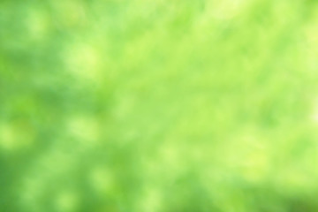 Green blurred background billet for design