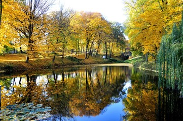 Golden autumn in the Park Alexandria.