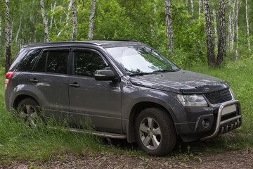 Obraz na płótnie Canvas SUV in nature in the forest