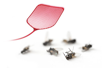 red  flyswatter and dead flies isolated on a white background, copy space, macro shot