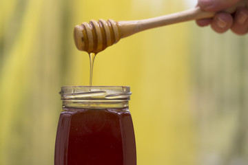 la cuillère à miel