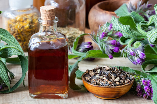 Comfrey tincture with dried comfrey root and fresh plant