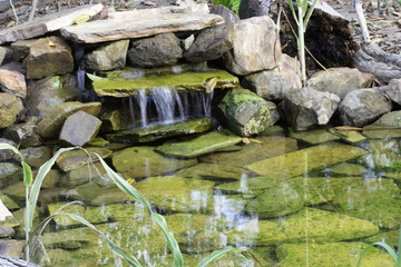 Babbling-Brook