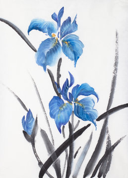 three blue iris