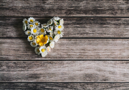 White daisies in a heart shape with a yellow buttercup in the middle on a wooden background