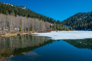 Marlette Lake Reflection