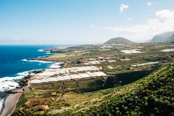 View of green, with banana plantation landscape from Mirador Punta del Fraile of Tenerife Island, Canaries