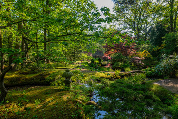 Fototapeta na wymiar Oasis of peace in Japanese Garden in Clingendael, The Hague, Netherlands