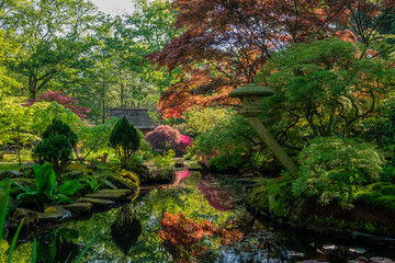 Reflections in Japanese Garden in Clingendael, The Hague, Netherlands