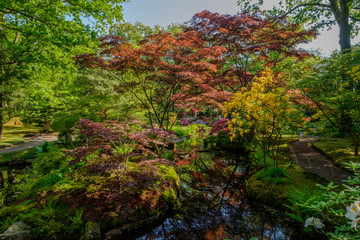 Reflections in colorful Japanese Garden in Clingendael, The Hague, Netherlands