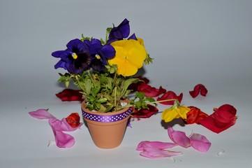 floral arrangement
