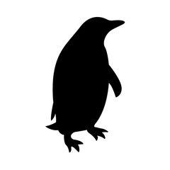 Vector image of the penguin silhouette