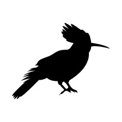 Vector image of the silhouette of the bird of Odd