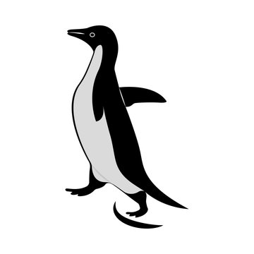 Vector image of the penguin silhouette