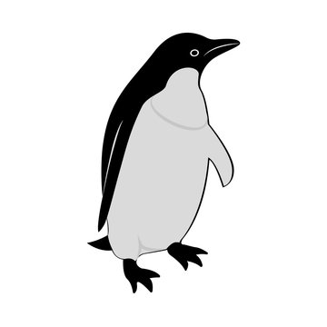 Vector image of the penguin silhouette