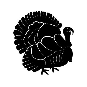 Vector image of silhouette of turkey
