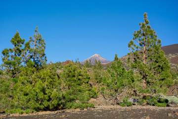 Beautiful view of the Parque Nacional del Teide on Tenerife. Teide Volcano on the background.