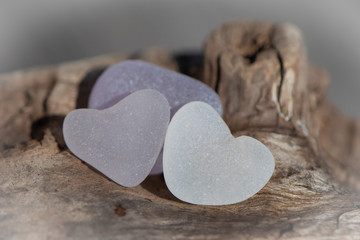 Obraz premium Two hearts