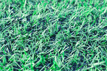 soccer ball green grass field, soccer line