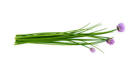 Fresh green chives, garden herbs, with their purple flowers Isolated against a white background. - obrazy, fototapety, plakaty