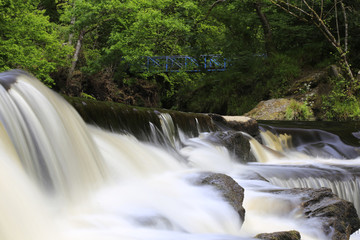 waterfall in the forest