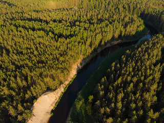 top view to bending river in green forest  on sunset