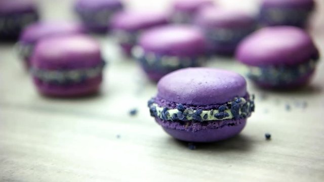 Purple Macaron