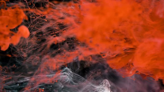 Abstract Red Ink in Water - Macro Shot . Slow Motion. Shot with high speed camera.