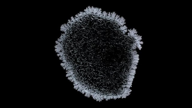 Drop drying with crystals growth. Time lapse of crystallization process under microscope. Separated on pure black background, contains alpha channel.