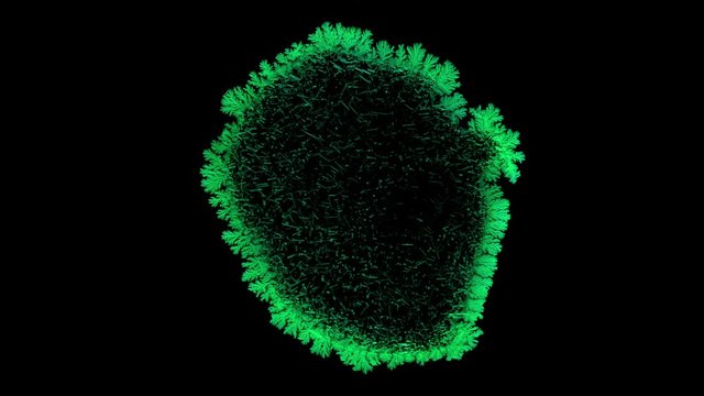 Drop drying with crystals growth. Time lapse of crystallization process under microscope. Separated on pure black background, contains alpha channel.