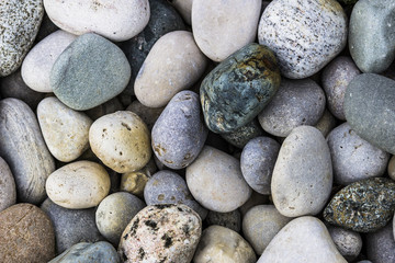 Rocks