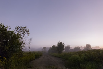 Misty night somewhere in the green field.