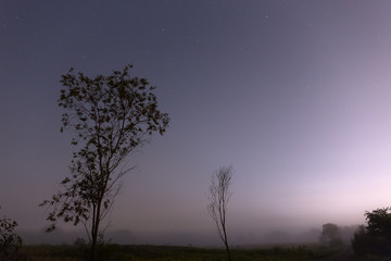 Fototapeta na wymiar Misty night somewhere in the green field.