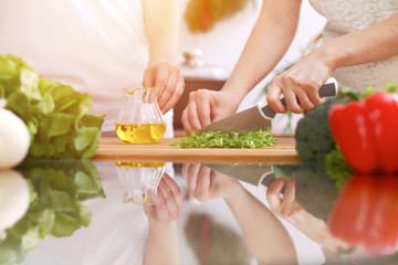 Closeup of human hands cooking in kitchen. Mother and daughter or two female friends cutting vegetables for fresh salad. Healthy meal, vegetarian food and lifestyle concepts