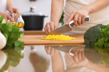 Closeup of human hands cooking in kitchen. Mother and daughter or two female friends cutting vegetables for fresh salad. Healthy meal, vegetarian food and lifestyle concepts