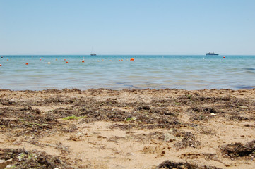 sea, ​​sand, seaweed