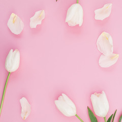 Floral frame of white tulips flowers on pink pastel background. Flat lay, top view.