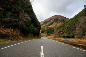 Open road through forested hills with colorful autumn leaves