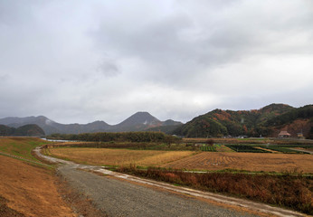 Fall color rice fields in the Japanese countryside