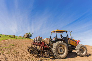 planting corn on a small farm