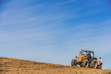 Obraz premium planting corn on a small farm