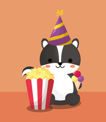 carnival circus design with skunk with party hat over orange background, colorful design. vector illustration